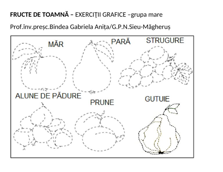 AcademiaABC Fructe de toamnă Exerciții grafice Grupa mare