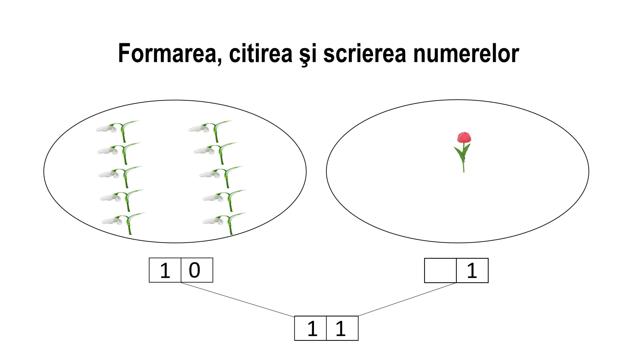 AcademiaABC Recunoaşterea formarea citirea şi scrierea numerelor în